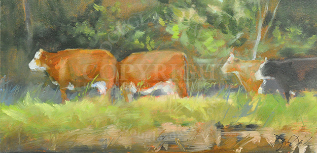 Patterns of Nature, #2655