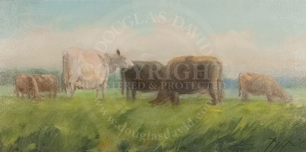 Quite an Assortment, #4031