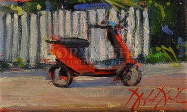 Picket Fence, Key West, FL, #2332