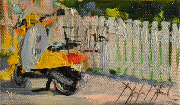 Sunny Day, Key West, FL, #2343