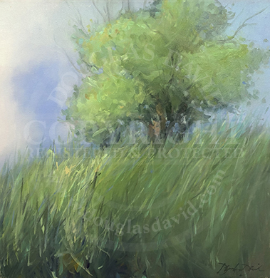 My Favorite Tree, #0648
