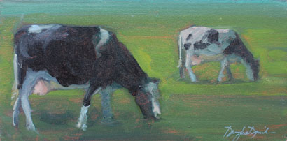 Cows, #0682