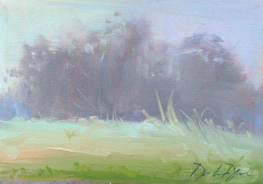 Morning Awakens, #0899