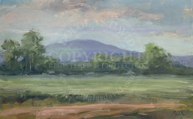 Summer Colors, #1988