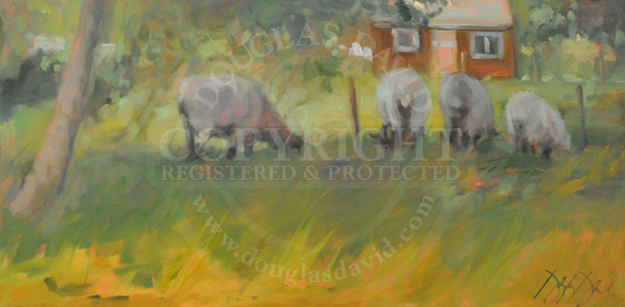 Summer Breezes, #2657