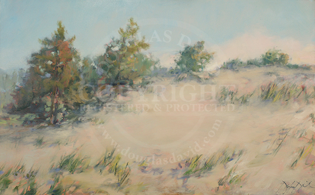 Indiana Dunes, #3009