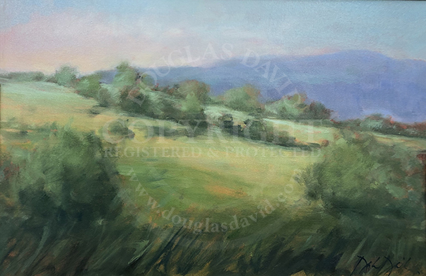 Afternoon's Glow, #4279