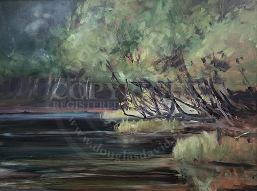 Summer Stream, #4474