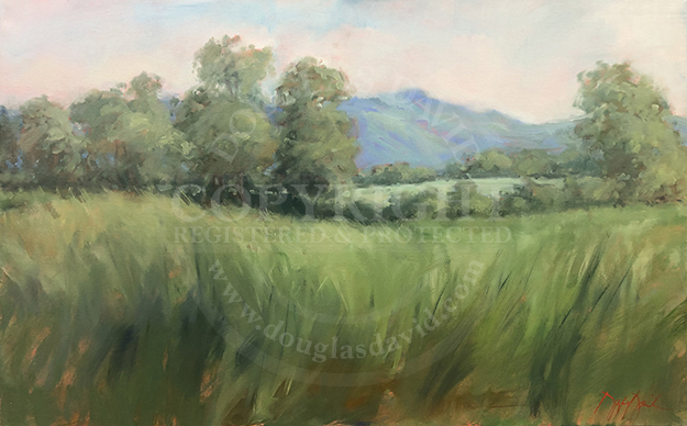 Wonderful Fields & Distance, #4477