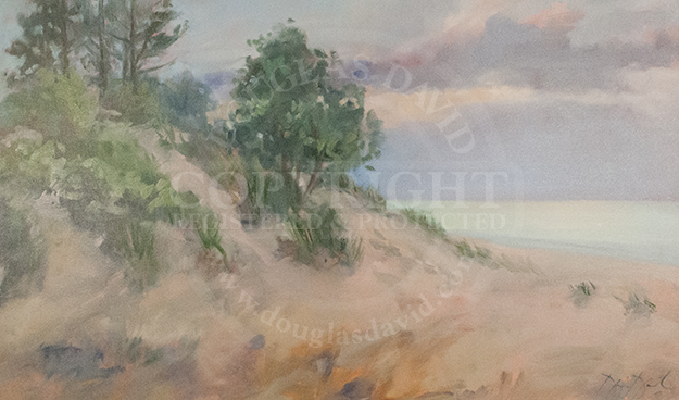 Indiana Dunes, #3010