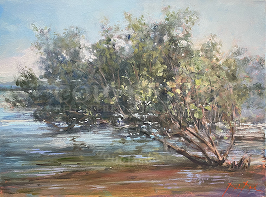 Under the Mangroves, #4501