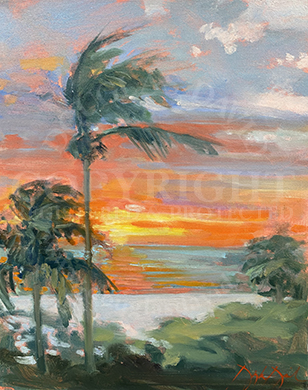 Gulf Sunset, #4522