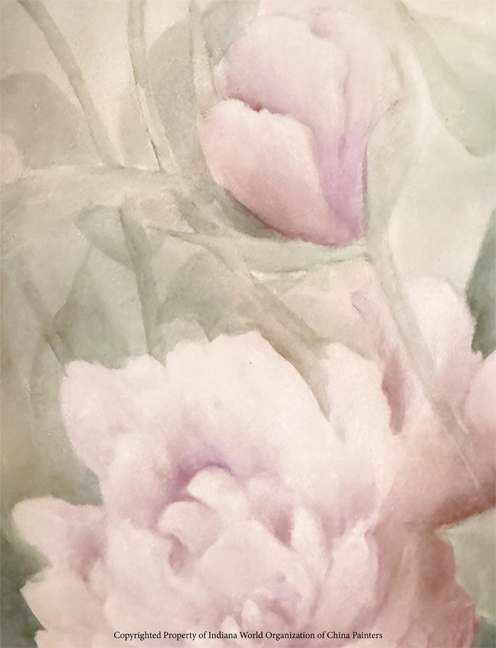IWOCP background
