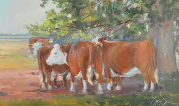 FINDING THE SHADE, #2646